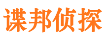 舞阳市侦探调查公司